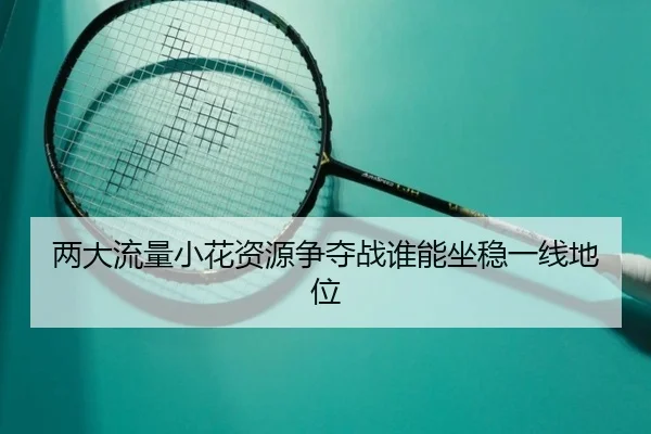 两大流量小花资源争夺战谁能坐稳一线地位